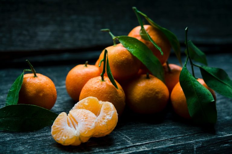 How to Protect Satsuma Trees from Freezing Landscape Wired